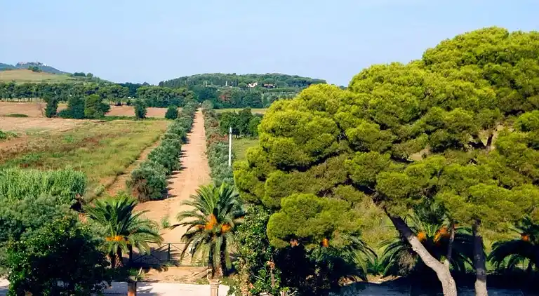 Ferielejlighed i Stazione di Populonia