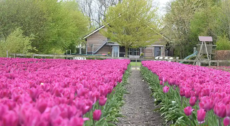 Semesterbostad i Noordbeemster