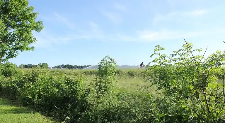 Sommerhus i Warmenhuizen