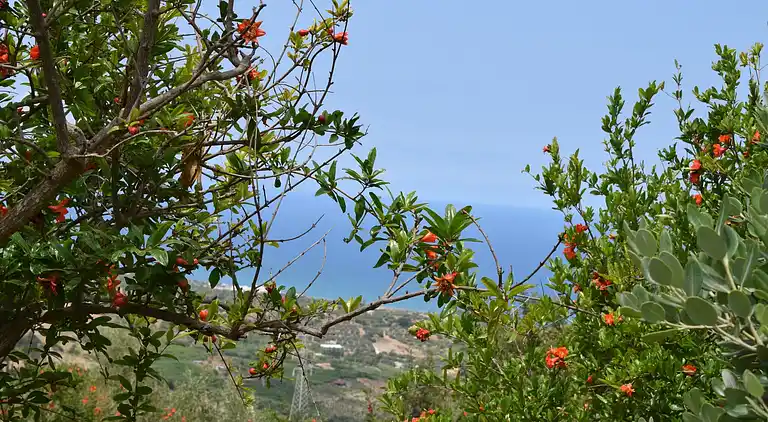 Holiday home in Collesano
