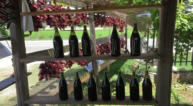 Apartment in Parghelia