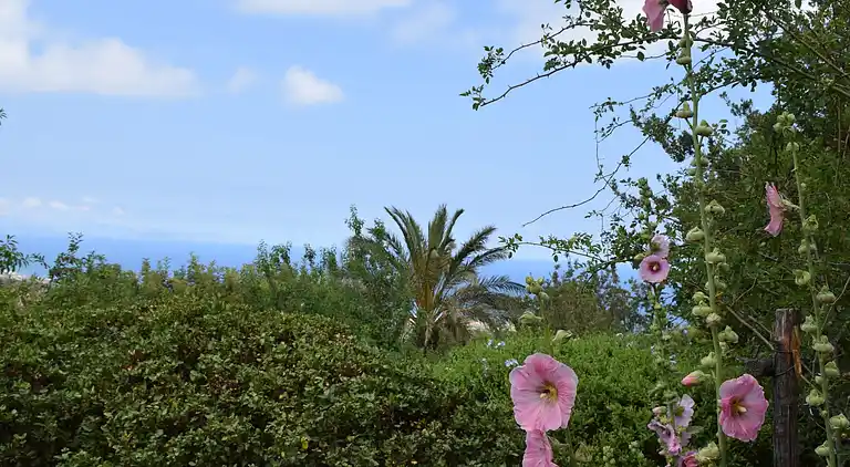 Holiday home in Collesano