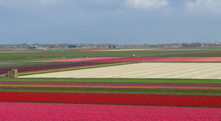 Sommerhus i Breezand
