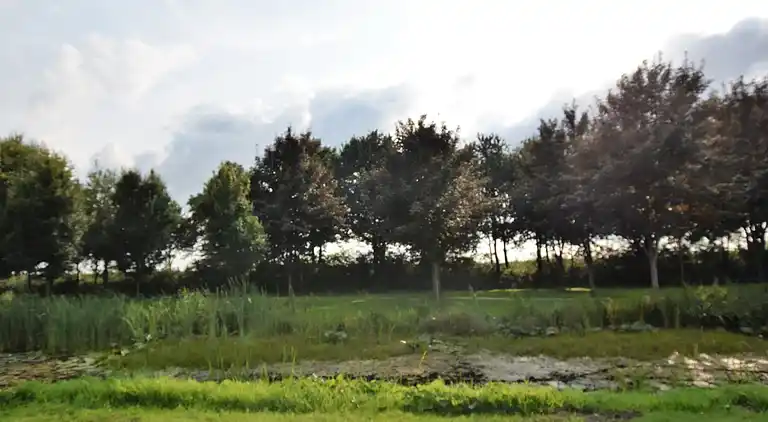 Sommerhus i Musselkanaal