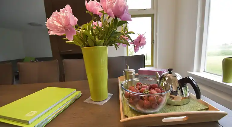 Sommerhus i Breezand