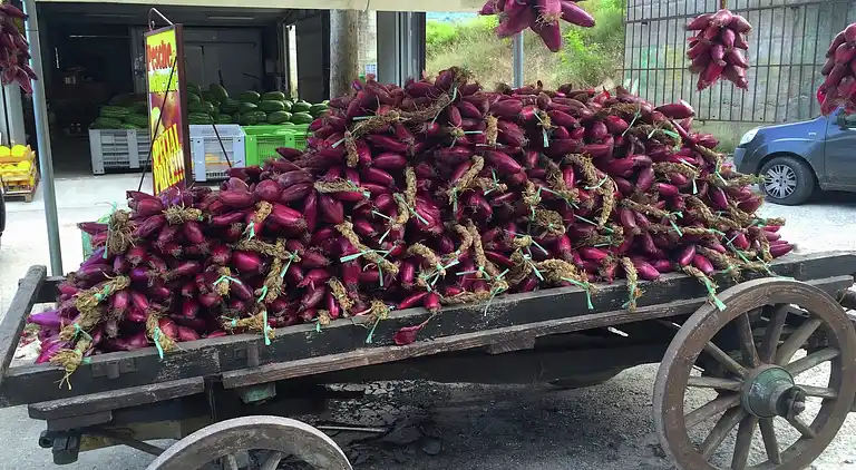 Apartment in Parghelia