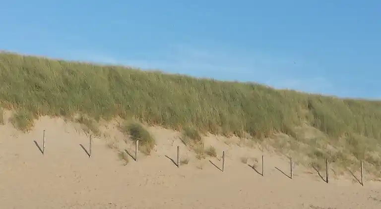 Sommerhus i Zuid-Holland