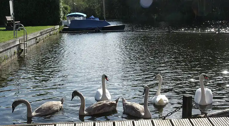 Sommerhus i Loosdrecht