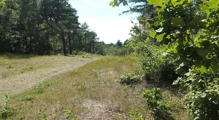 Ferielejlighed i Bergen aan Zee