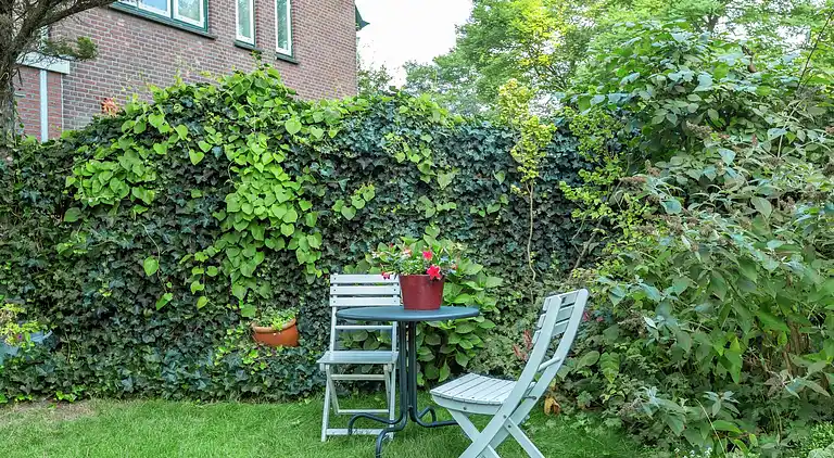 Sommerhus i Segbroek