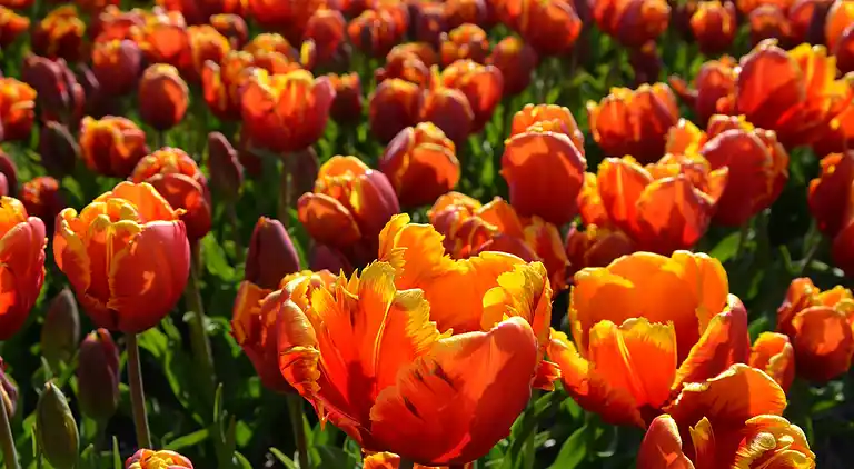 Holiday home in Katwijk