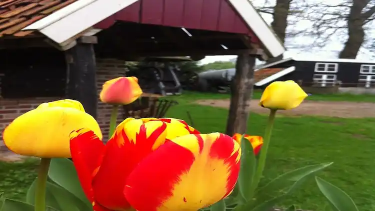 Holiday home in Aalten