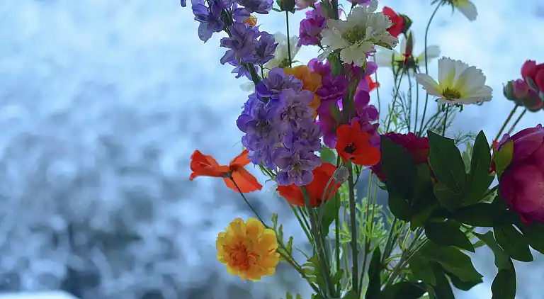 Ferielejlighed i Bergen aan Zee