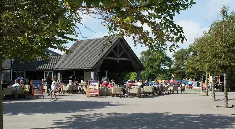 Cottage in De Cocksdorp