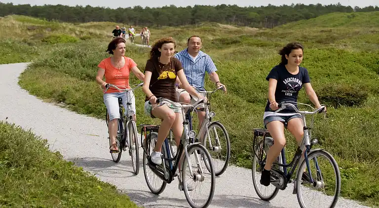 Cottage in De Cocksdorp