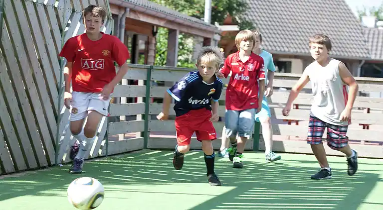 Hytte i De Cocksdorp