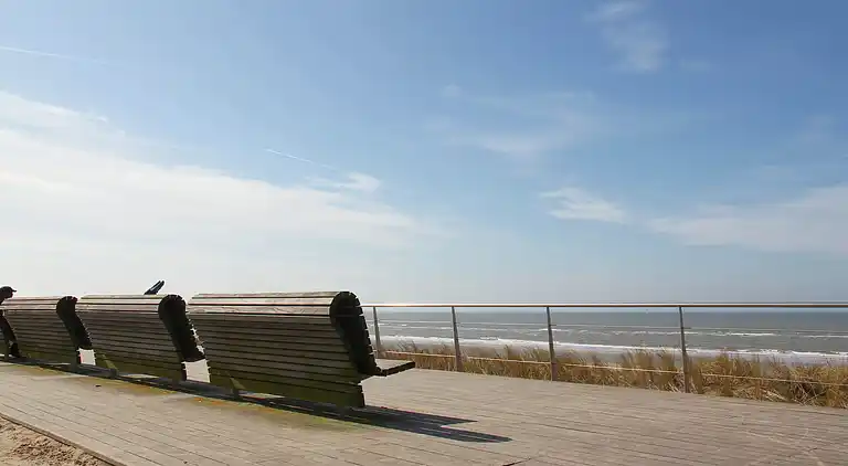 Sommerhus i Egmond aan den Hoef