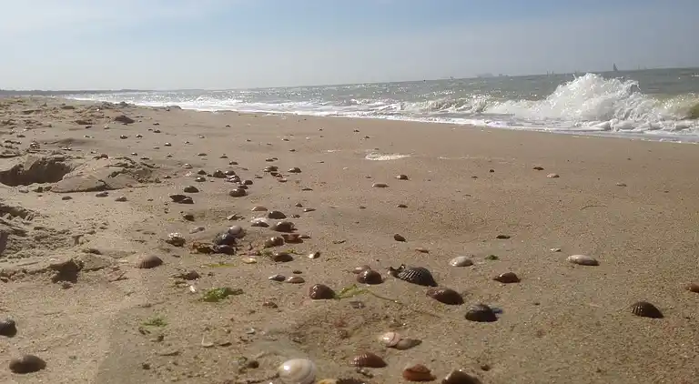 Ferienhaus in Schoondijke