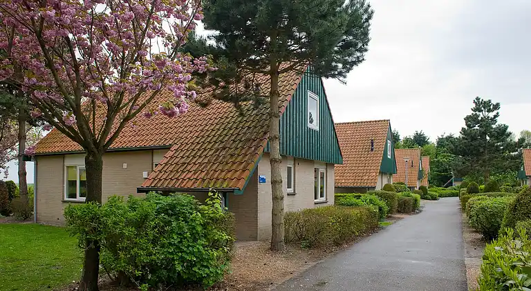 Semesterbostad i Burgh-Haamstede