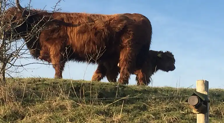 Semesterbostad i Retranchement