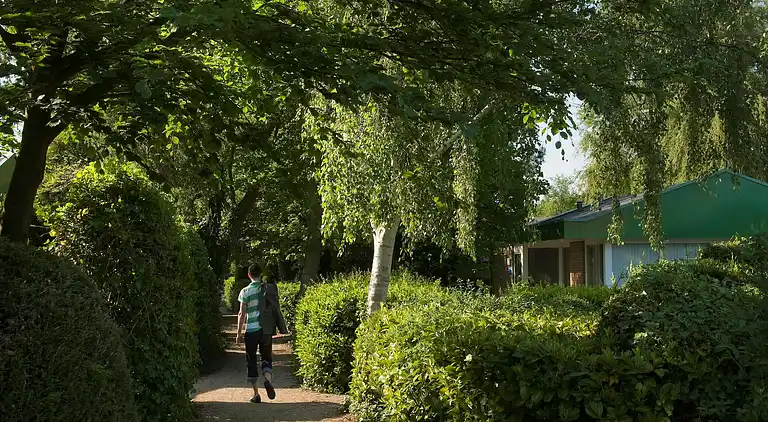 Casa vacanze in Burgh-Haamstede