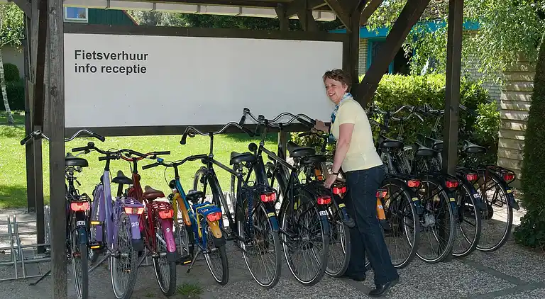 Semesterbostad i Burgh-Haamstede