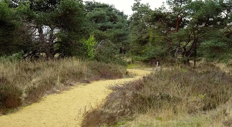 Holiday home in Europe