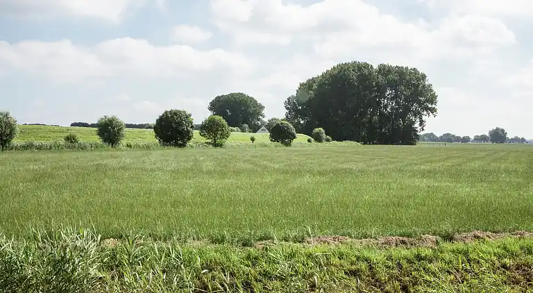 Bondgård i Drimmelen
