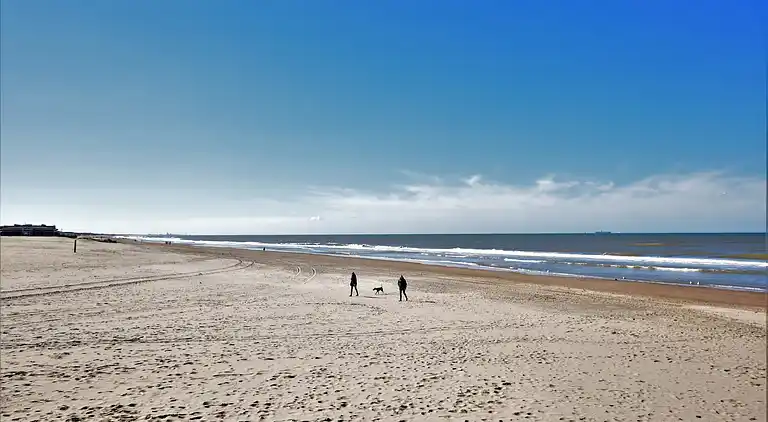 Apartment in Noordwijk aan Zee