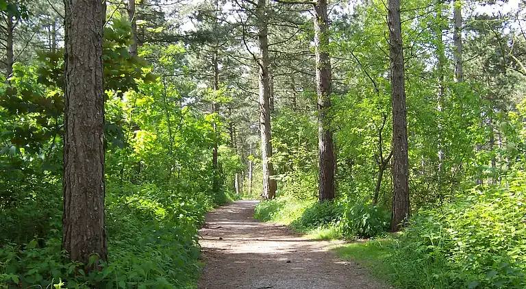 Apartment in Noordwijk aan Zee