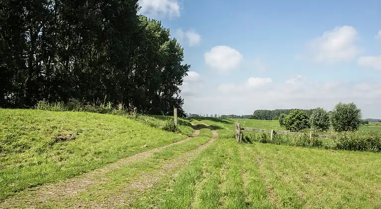 Bondgård i Drimmelen