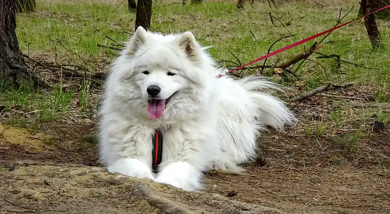 Holiday home in Europe