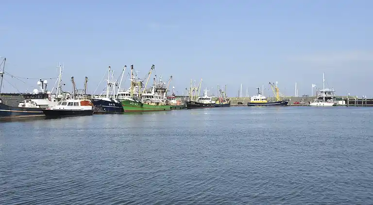 Holiday home in Hippolytushoef