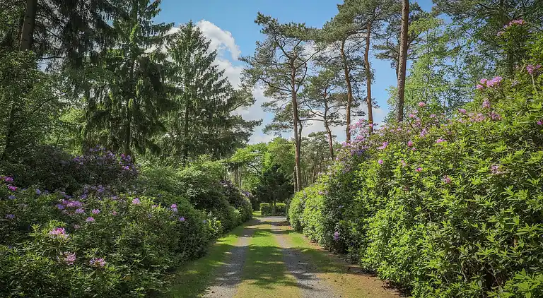 Holiday home in Huijbergen