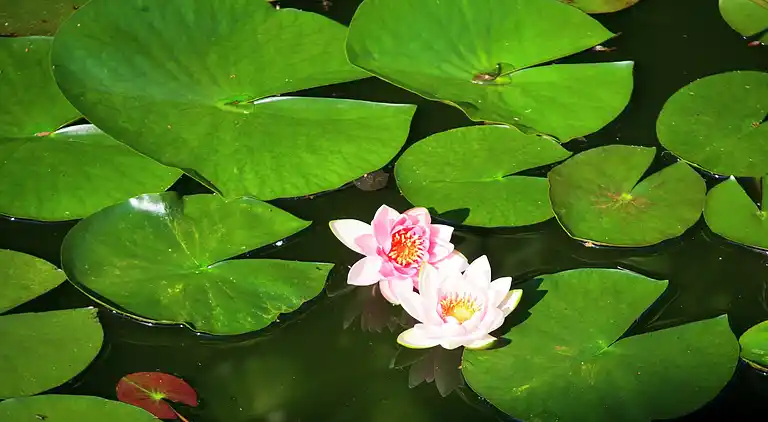 Holiday home in Heerlen