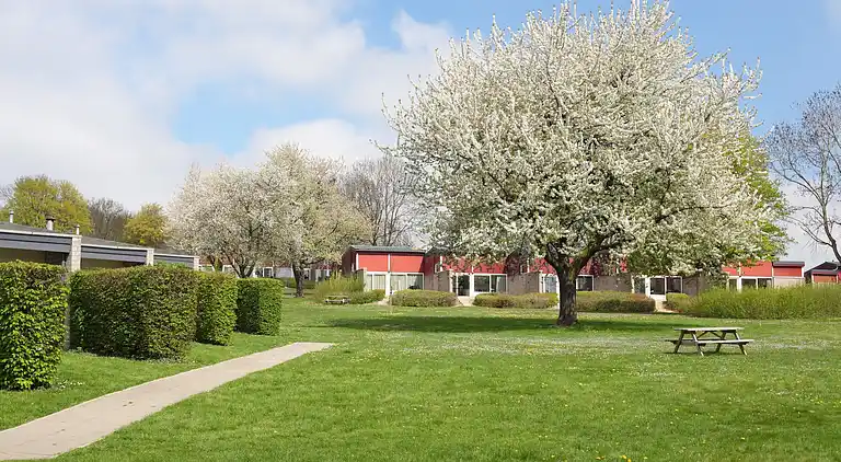 Bungalow in Schin op Geul
