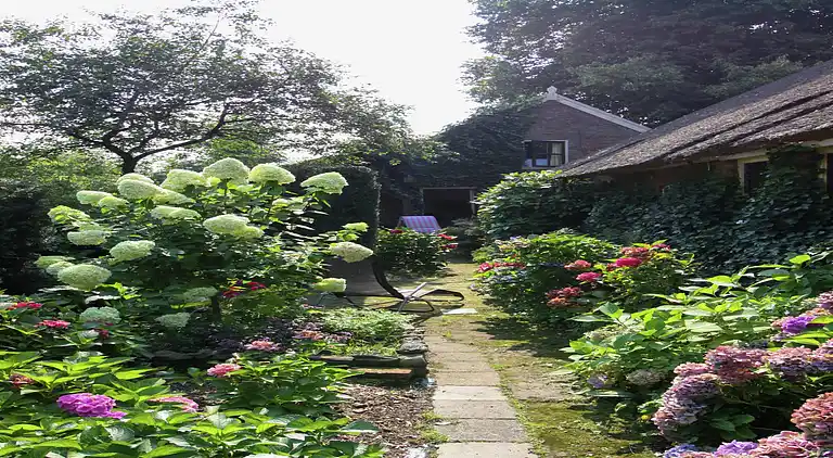 Bondgård i Eexterzandvoort