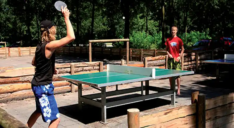 Cottage in Gasselternijveen