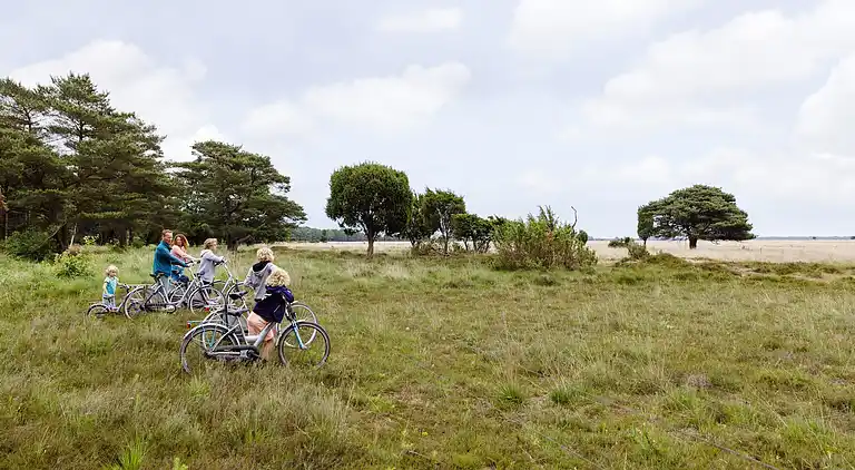 Bungalow i Dwingeloo