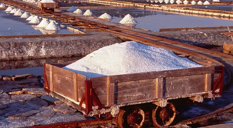 Leilighet i Strunjan