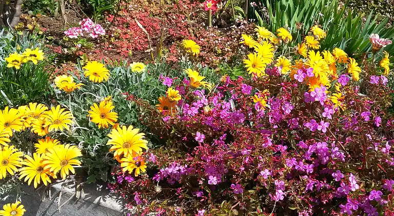 Holiday home in Fajã da Ovelha