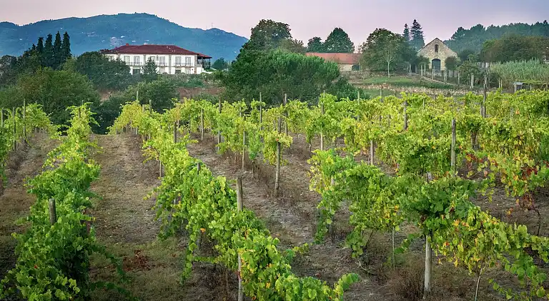 Sommerhus i Santa Cruz do Lima