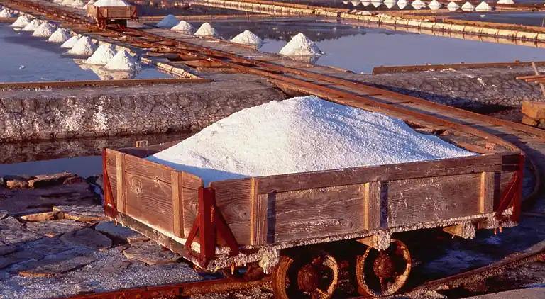 Appartement in Strunjan