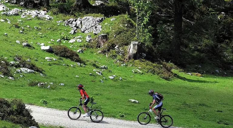 Apartment in Neuberg