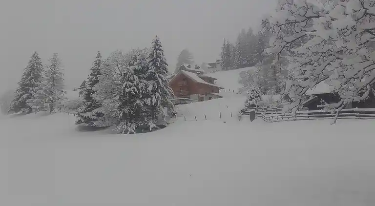 Hytte i Sankt Oswald