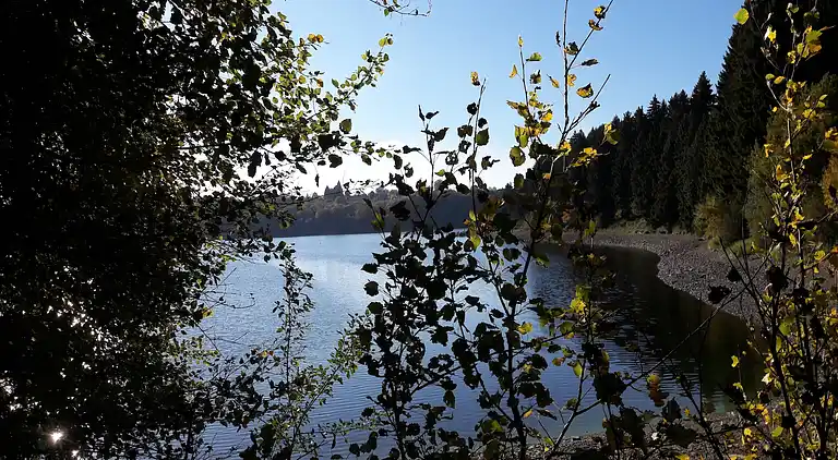 Semesterbostad i Elsenborn