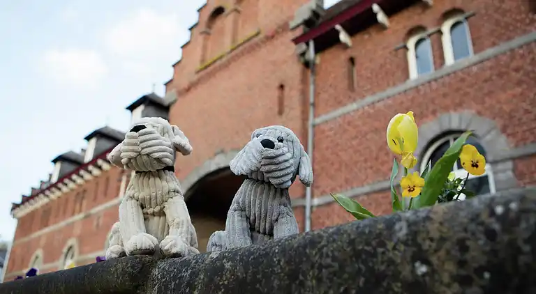 Sommerhus i Gembloux