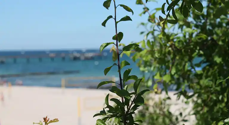 Ferielejlighed i Kühlungsborn Ost