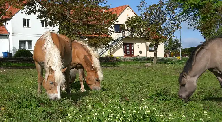 Ferielejlighed i Kröpelin