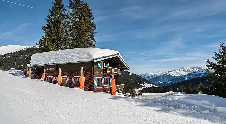 Sommerhus i Wald im Pinzgau